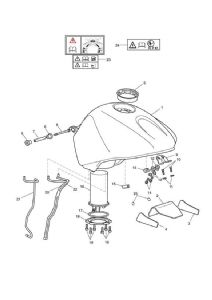 Fuel Pump Module